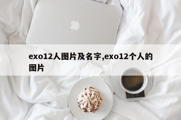 exo12人图片及名字,exo12个人的图片