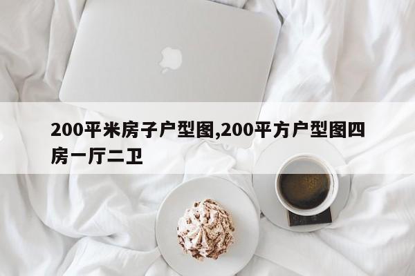 200平米房子户型图,200平方户型图四房一厅二卫