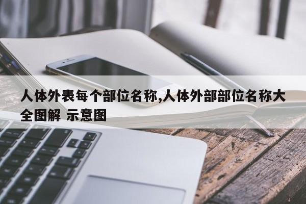 人体外表每个部位名称,人体外部部位名称大全图解 示意图