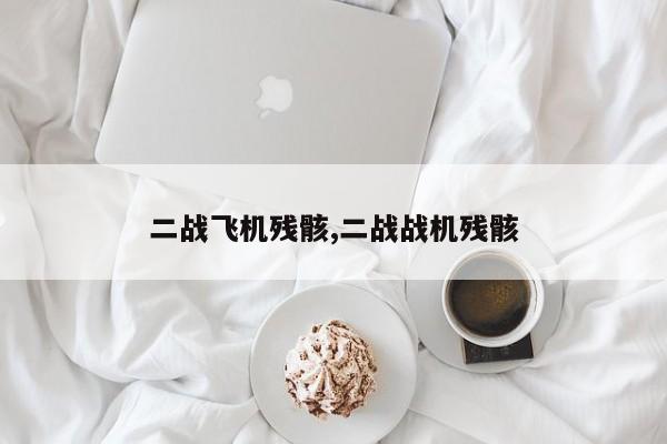 二战飞机残骸,二战战机残骸