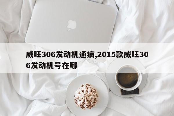 威旺306发动机通病,2015款威旺306发动机号在哪