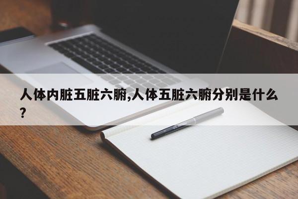 人体内脏五脏六腑,人体五脏六腑分别是什么?