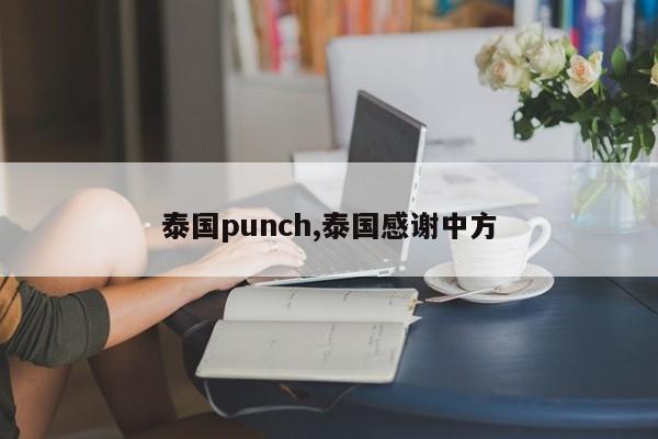 泰国punch,泰国感谢中方