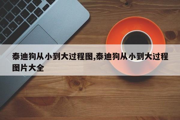 泰迪狗从小到大过程图,泰迪狗从小到大过程图片大全