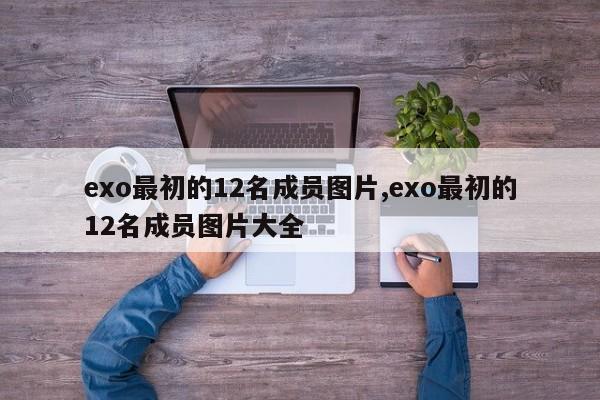 exo最初的12名成员图片,exo最初的12名成员图片大全