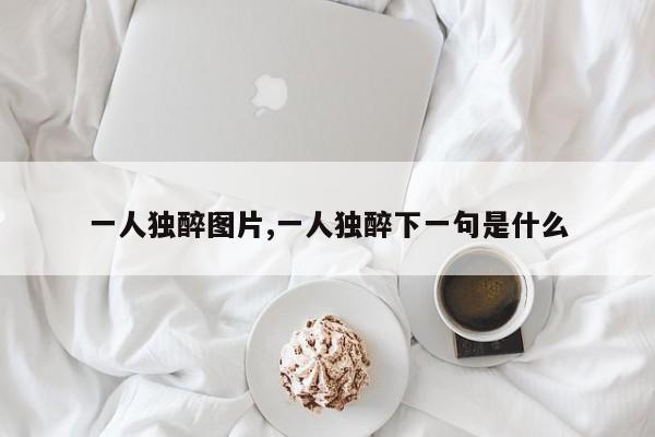 一人独醉图片,一人独醉下一句是什么