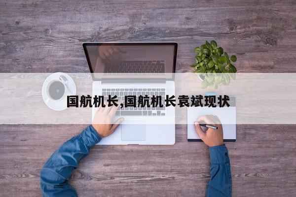 国航机长,国航机长袁斌现状