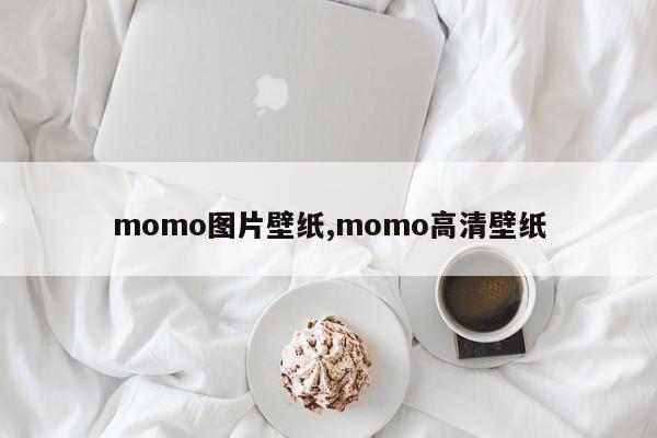 momo图片壁纸,momo高清壁纸