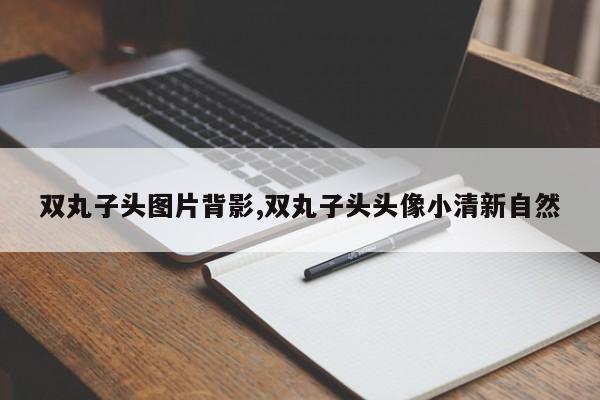 双丸子头图片背影,双丸子头头像小清新自然