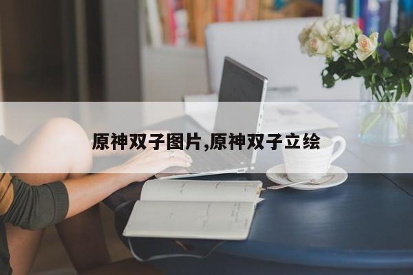 原神双子图片,原神双子立绘