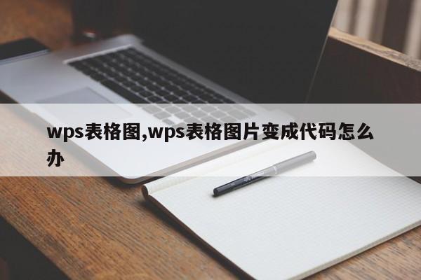 wps表格图,wps表格图片变成代码怎么办