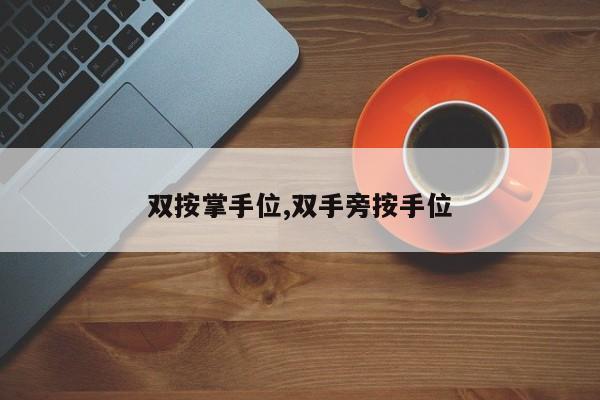 双按掌手位,双手旁按手位