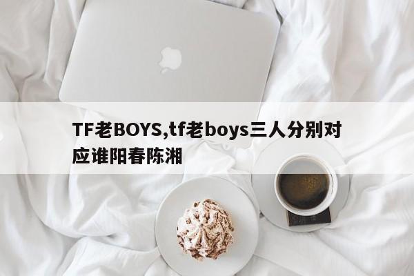 TF老BOYS,tf老boys三人分别对应谁阳春陈湘
