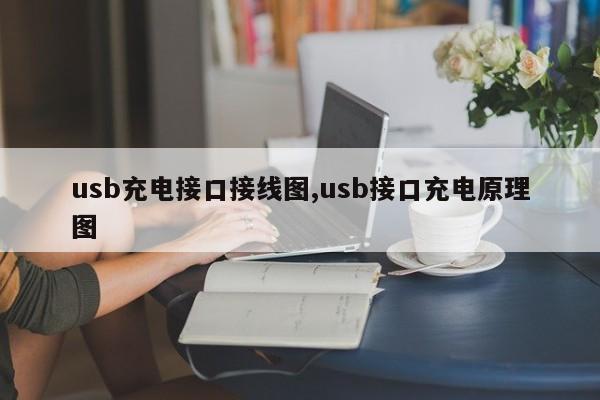 usb充电接口接线图,usb接口充电原理图