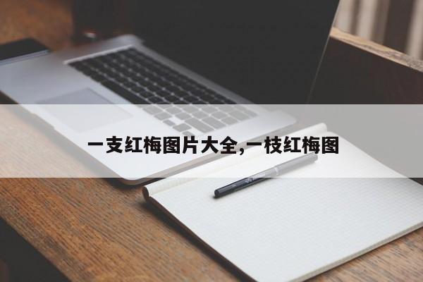 一支红梅图片大全,一枝红梅图