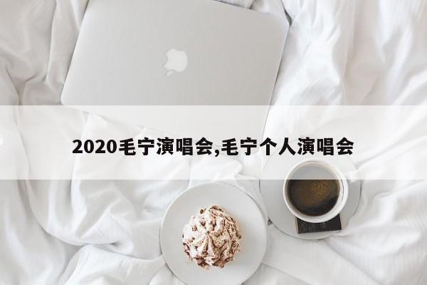 2020毛宁演唱会,毛宁个人演唱会