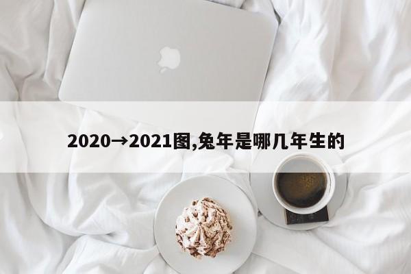 2020→2021图,兔年是哪几年生的