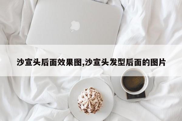 沙宣头后面效果图,沙宣头发型后面的图片