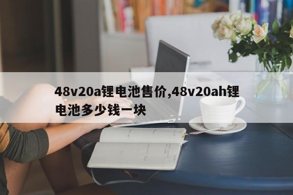 48v20a锂电池售价,48v20ah锂电池多少钱一块