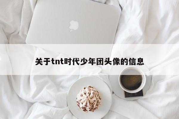 关于tnt时代少年团头像的信息