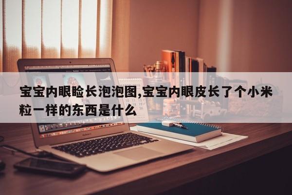 宝宝内眼睑长泡泡图,宝宝内眼皮长了个小米粒一样的东西是什么