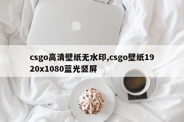 csgo高清壁纸无水印,csgo壁纸1920x1080蓝光竖屏