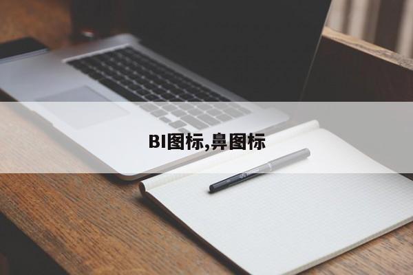 BI图标,鼻图标