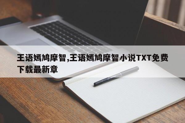 王语嫣鸠摩智,王语嫣鸠摩智小说TXT免费下载最新章