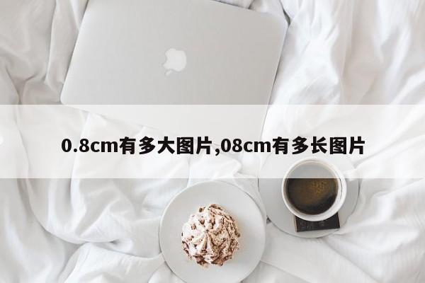 0.8cm有多大图片,08cm有多长图片