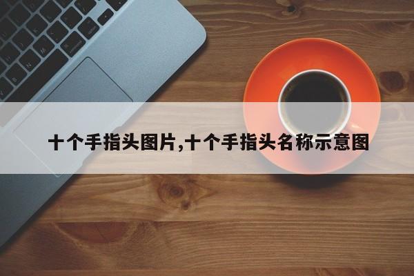 十个手指头图片,十个手指头名称示意图