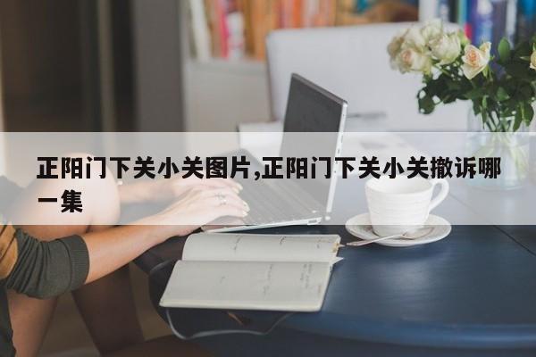 正阳门下关小关图片,正阳门下关小关撤诉哪一集