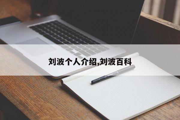 刘波个人介绍,刘波百科